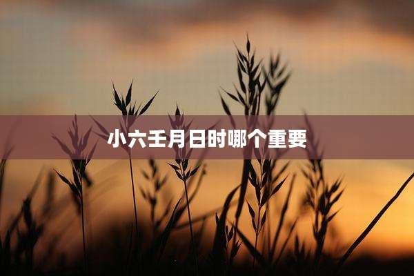 小六壬月日时哪个重要
