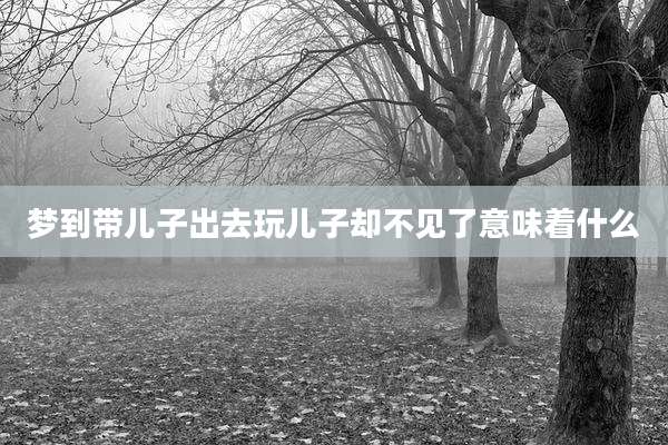 梦到带儿子出去玩儿子却不见了意味着什么
