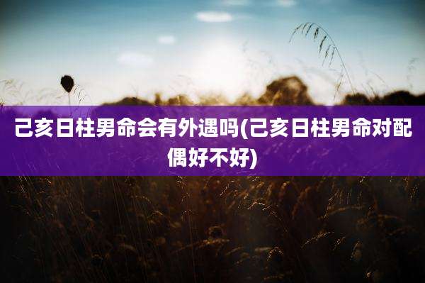 己亥日柱男命会有外遇吗(己亥日柱男命对配偶好不好)