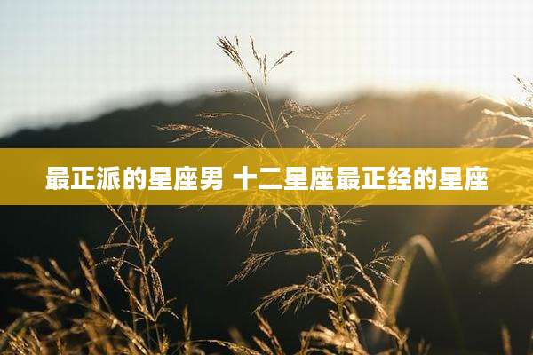 最正派的星座男 十二星座最正经的星座