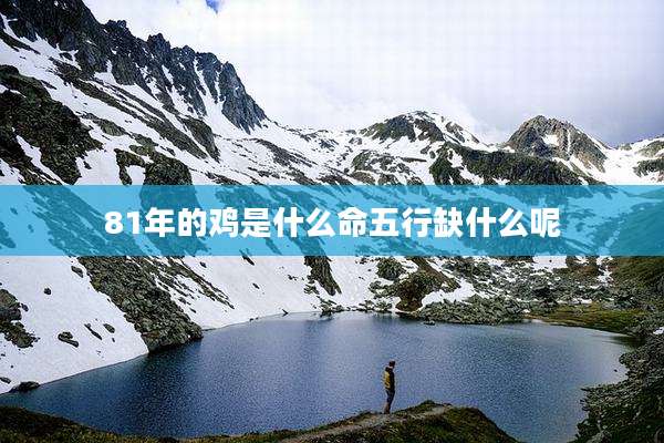 81年的鸡是什么命五行缺什么呢
