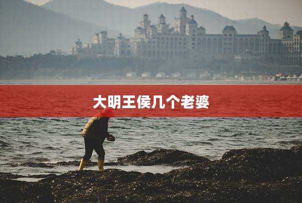 大明王侯几个老婆