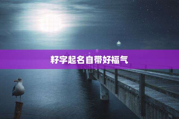 籽字起名自带好福气
