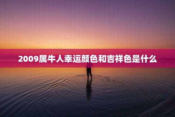 2009属牛人幸运颜色和吉祥色是什么