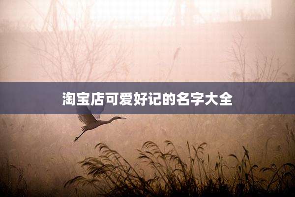 淘宝店可爱好记的名字大全