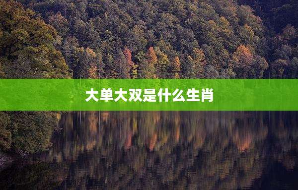 大单大双是什么生肖