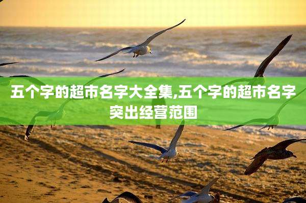 五个字的超市名字大全集,五个字的超市名字突出经营范围