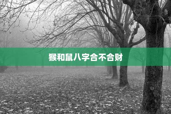 猴和鼠八字合不合财