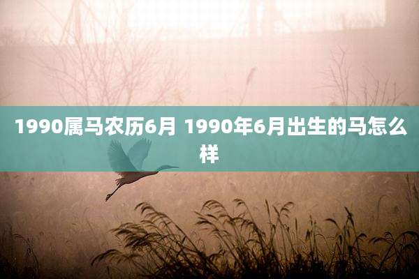 1990属马农历6月 1990年6月出生的马怎么样