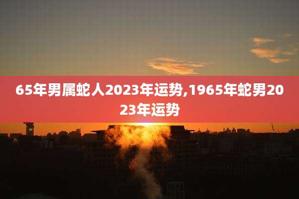 65年男属蛇人2023年运势,1965年蛇男2023年运势