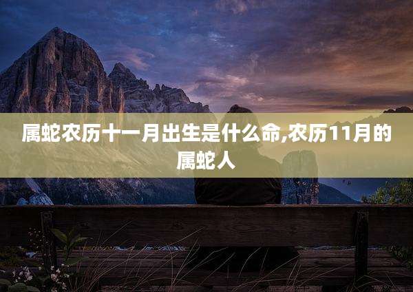 属蛇农历十一月出生是什么命,农历11月的属蛇人