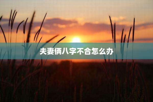 夫妻俩八字不合怎么办