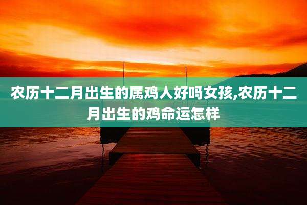 农历十二月出生的属鸡人好吗女孩,农历十二月出生的鸡命运怎样