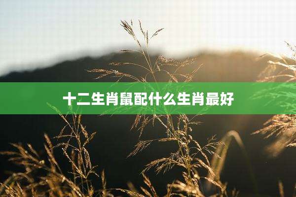 十二生肖鼠配什么生肖最好