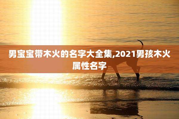 男宝宝带木火的名字大全集,2021男孩木火属性名字