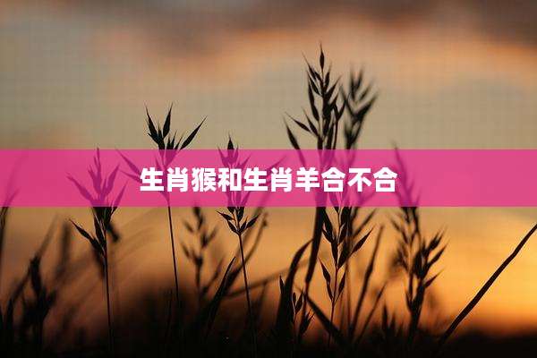生肖猴和生肖羊合不合