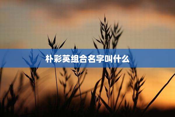 朴彩英组合名字叫什么