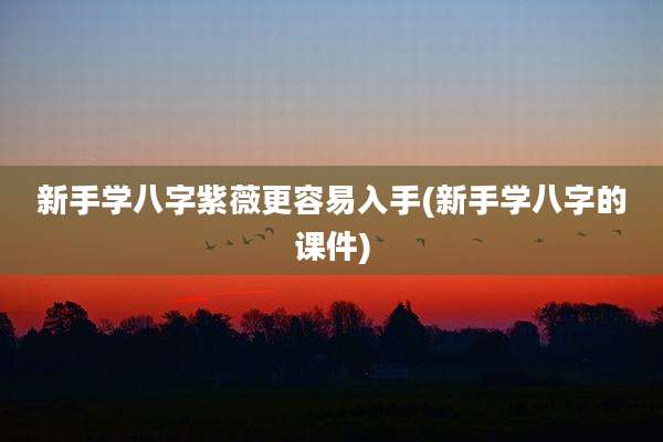 新手学八字紫薇更容易入手(新手学八字的课件)