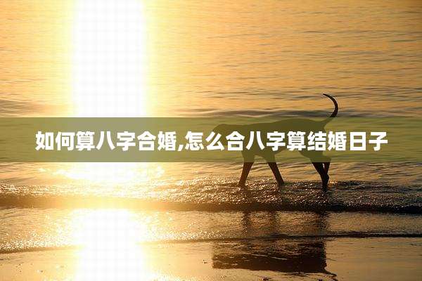 如何算八字合婚,怎么合八字算结婚日子