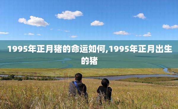1995年正月猪的命运如何,1995年正月出生的猪