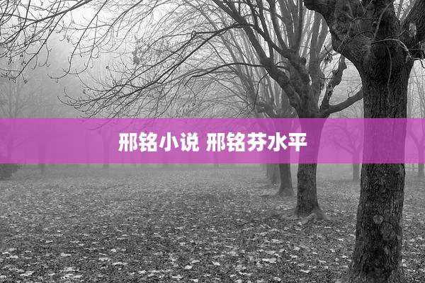 邢铭小说 邢铭芬水平