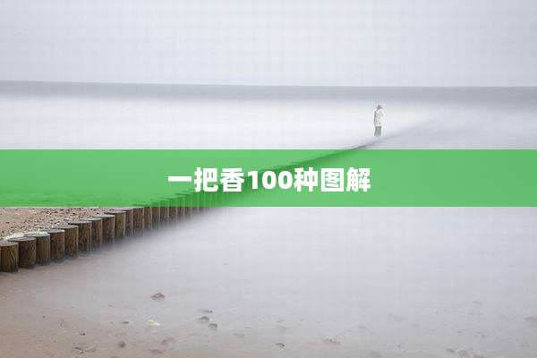 一把香100种图解