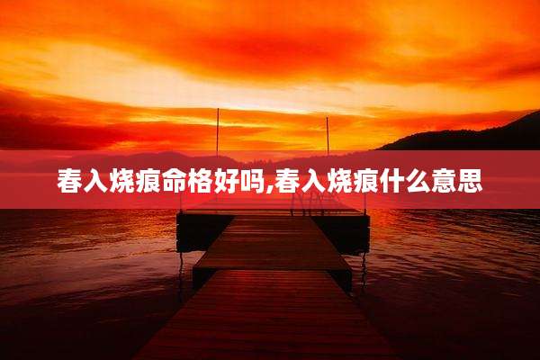 春入烧痕命格好吗,春入烧痕什么意思