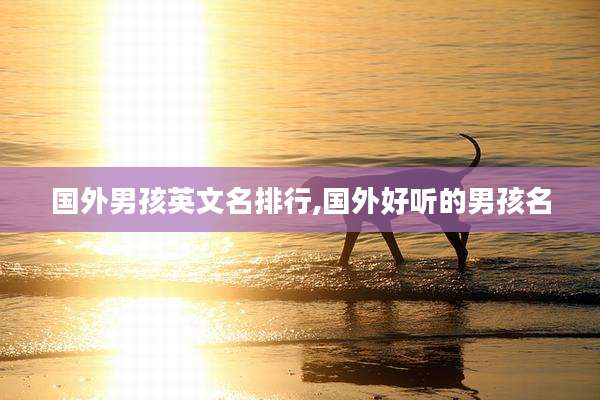 国外男孩英文名排行,国外好听的男孩名
