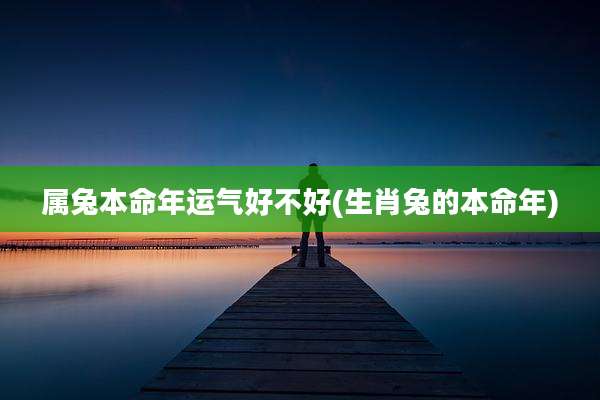 属兔本命年运气好不好(生肖兔的本命年)