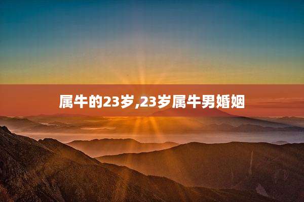 属牛的23岁,23岁属牛男婚姻