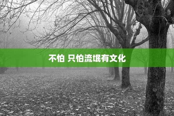 不怕 只怕流氓有文化