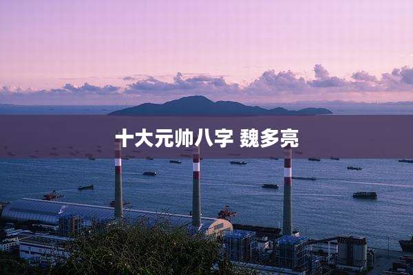 十大元帅八字 魏多亮