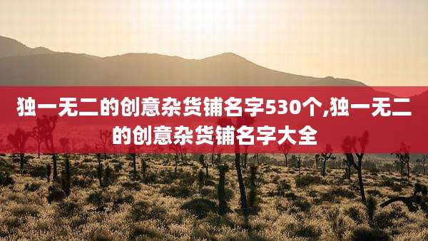 独一无二的创意杂货铺名字530个,独一无二的创意杂货铺名字大全
