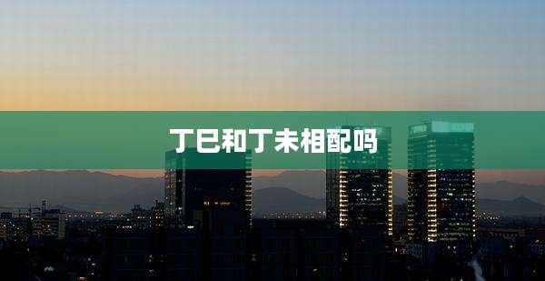 丁巳和丁未相配吗