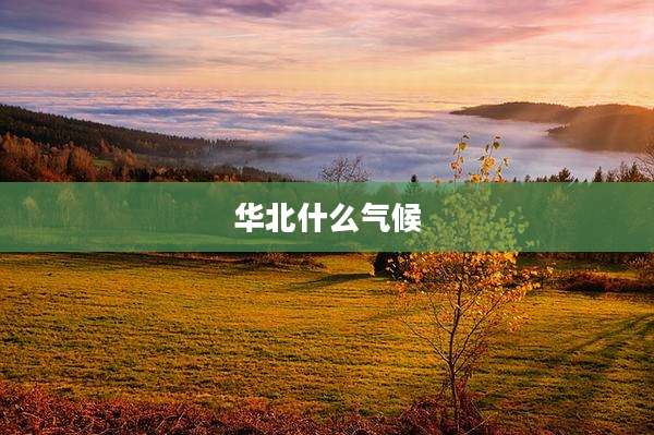 华北什么气候
