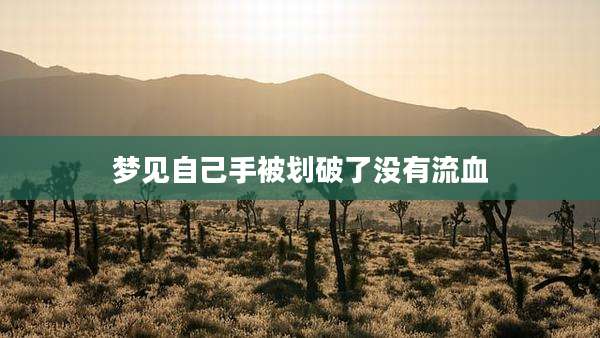 梦见自己手被划破了没有流血