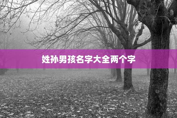 姓孙男孩名字大全两个字