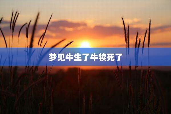 梦见牛生了牛犊死了