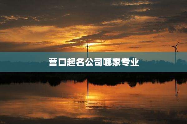 营口起名公司哪家专业