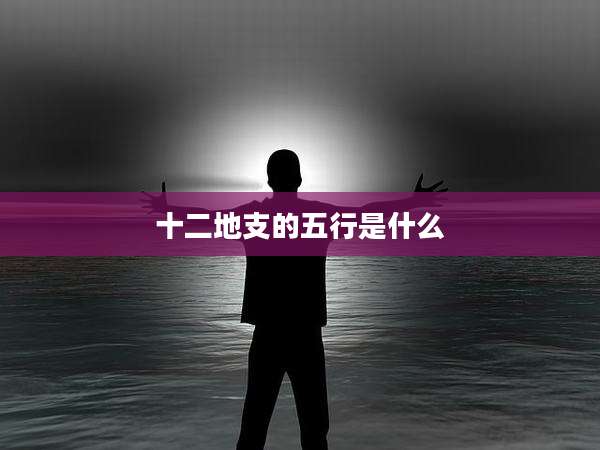 十二地支的五行是什么
