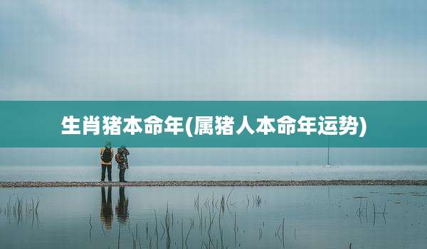 生肖猪本命年(属猪人本命年运势)
