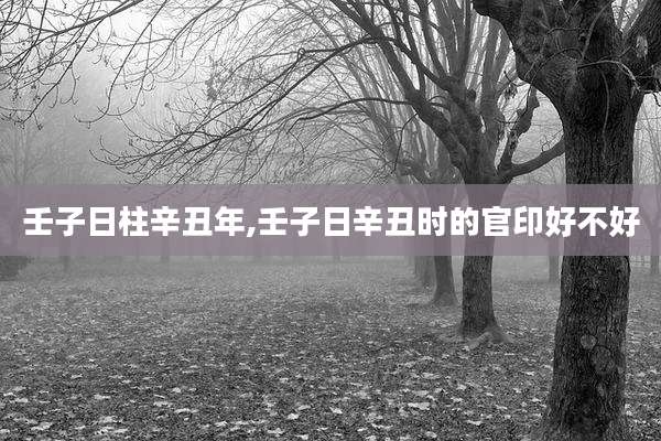 壬子日柱辛丑年,壬子日辛丑时的官印好不好