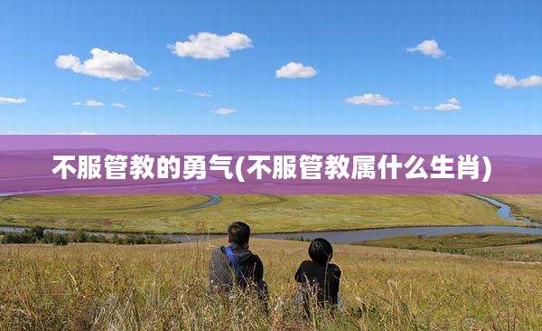 不服管教的勇气(不服管教属什么生肖)