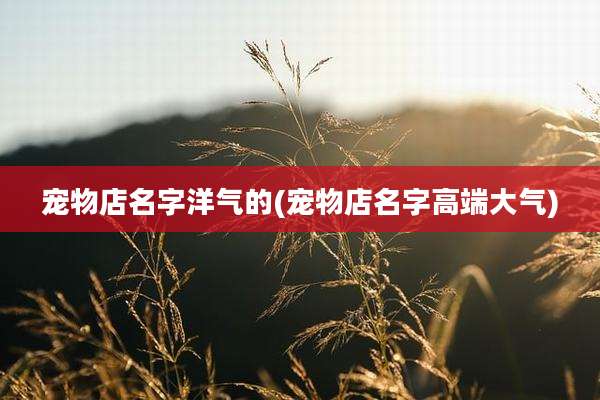 宠物店名字洋气的(宠物店名字高端大气)