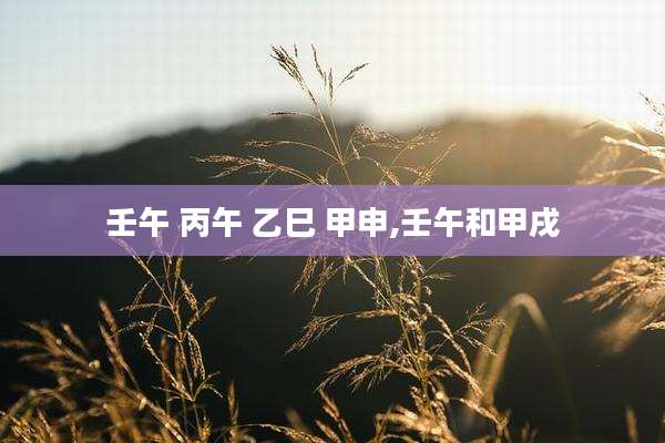 壬午 丙午 乙巳 甲申,壬午和甲戌