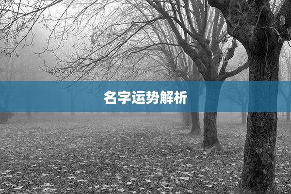 名字运势解析