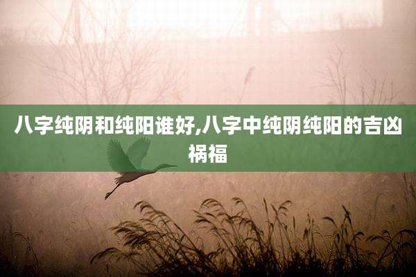 八字纯阴和纯阳谁好,八字中纯阴纯阳的吉凶祸福