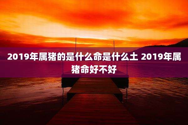 2019年属猪的是什么命是什么土 2019年属猪命好不好
