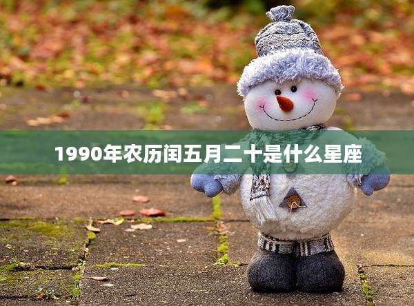 1990年农历闰五月二十是什么星座