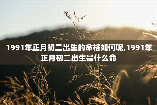 1991年正月初二出生的命格如何呢,1991年正月初二出生是什么命